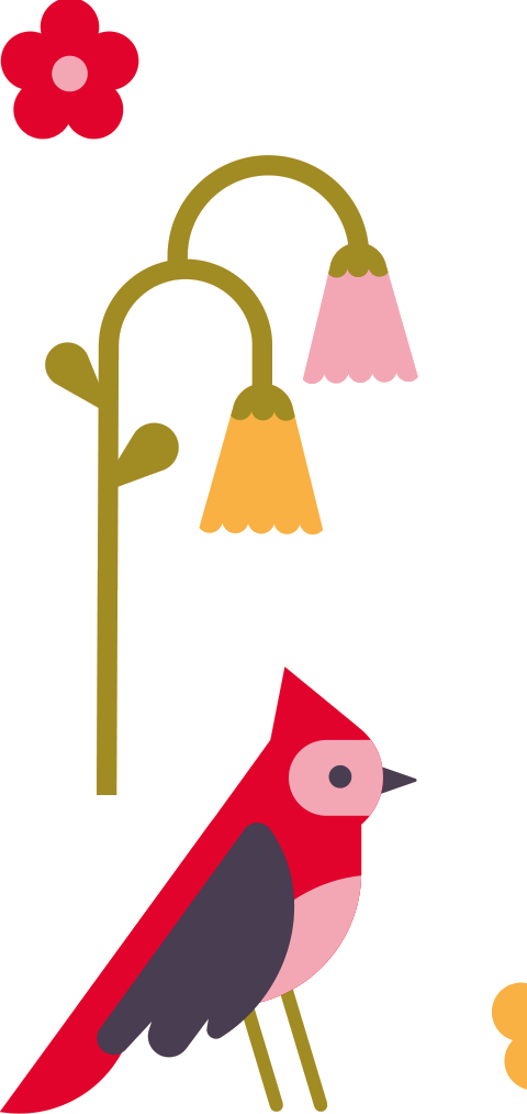 Pajarito rojo Almendra